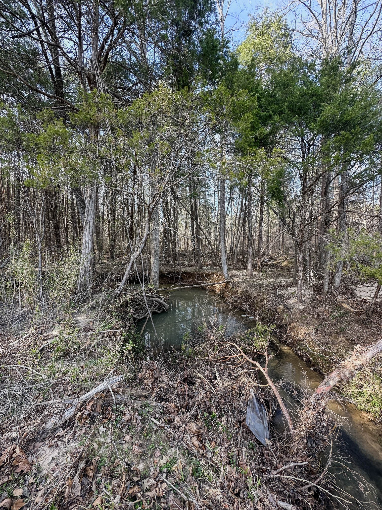 0 Jeanette Holladay Road Parsons, TN 38363 - Photo 15 of 49 a backyard of a house with lots of green space
