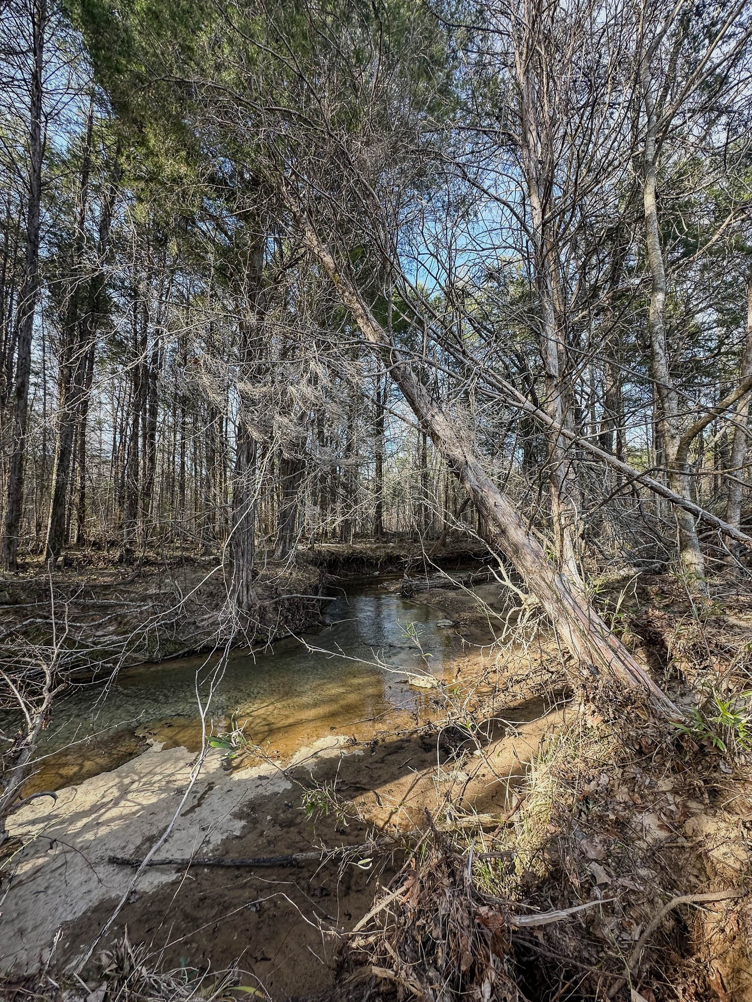 0 Jeanette Holladay Road Parsons, TN 38363 - Photo 16 of 49 a view of a lake view