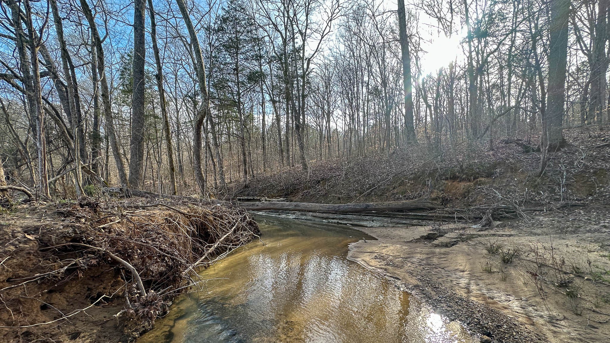 0 Jeanette Holladay Road Parsons, TN 38363 - Photo 17 of 49 a view of a backyard of the house