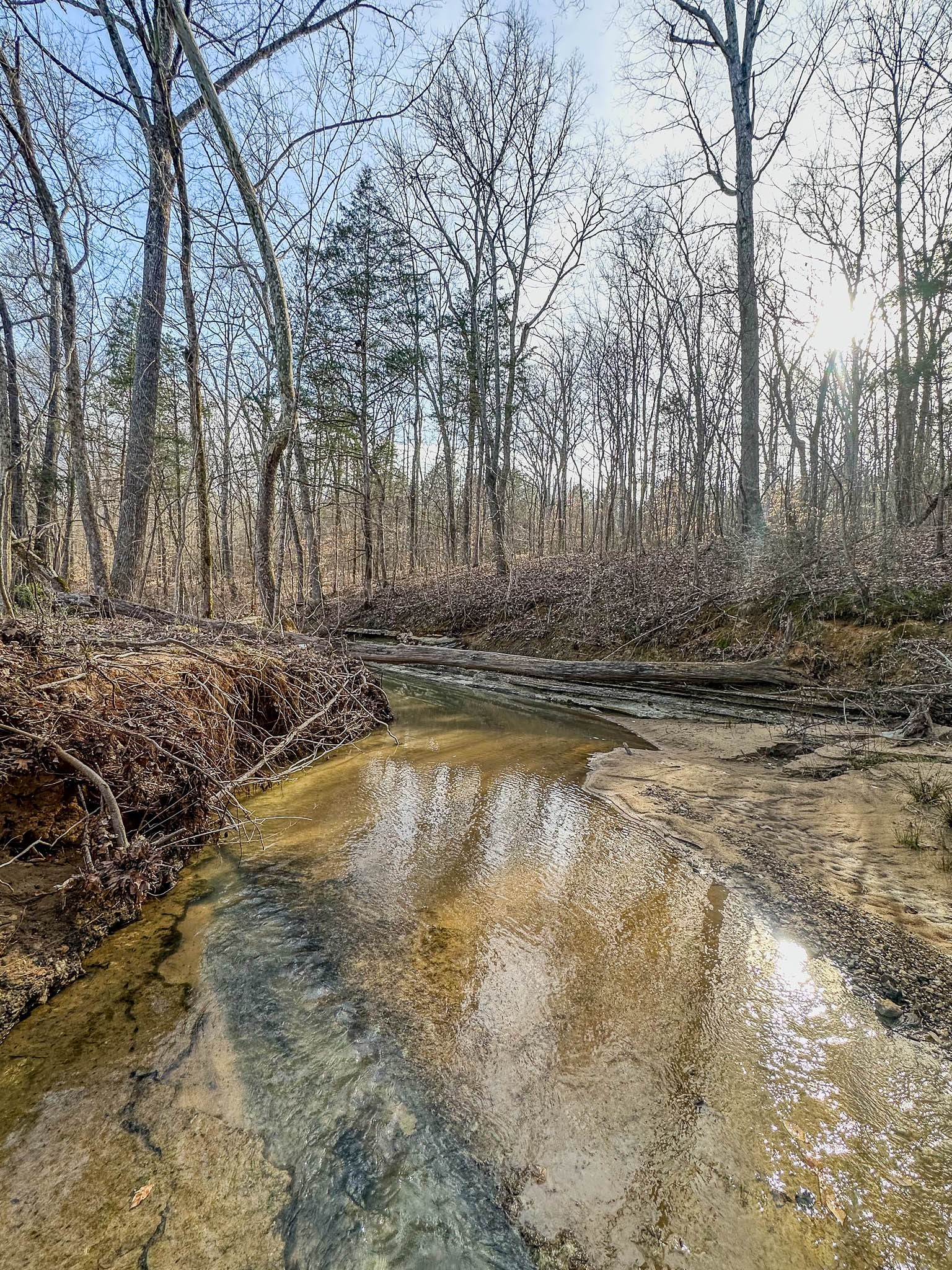 0 Jeanette Holladay Road Parsons, TN 38363 - Photo 18 of 49 a view of a backyard with large trees