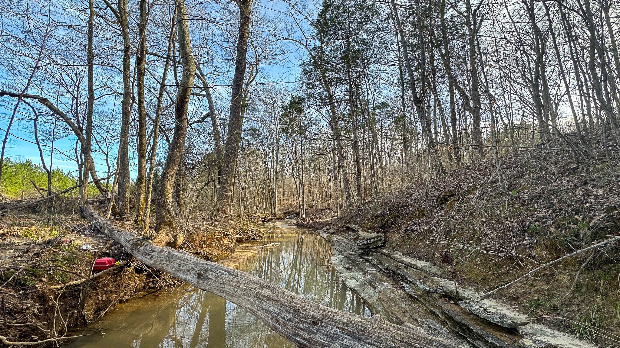 0 Jeanette Holladay Road Parsons, TN 38363 - Photo 20 of 49 a view of a backyard of the house