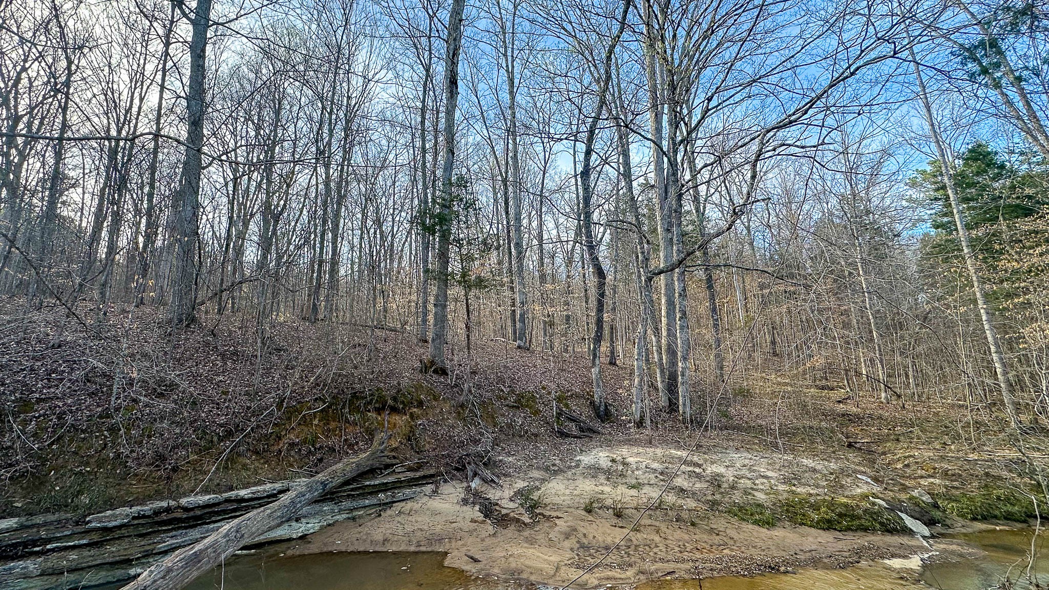 0 Jeanette Holladay Road Parsons, TN 38363 - Photo 22 of 49 a view of a backyard