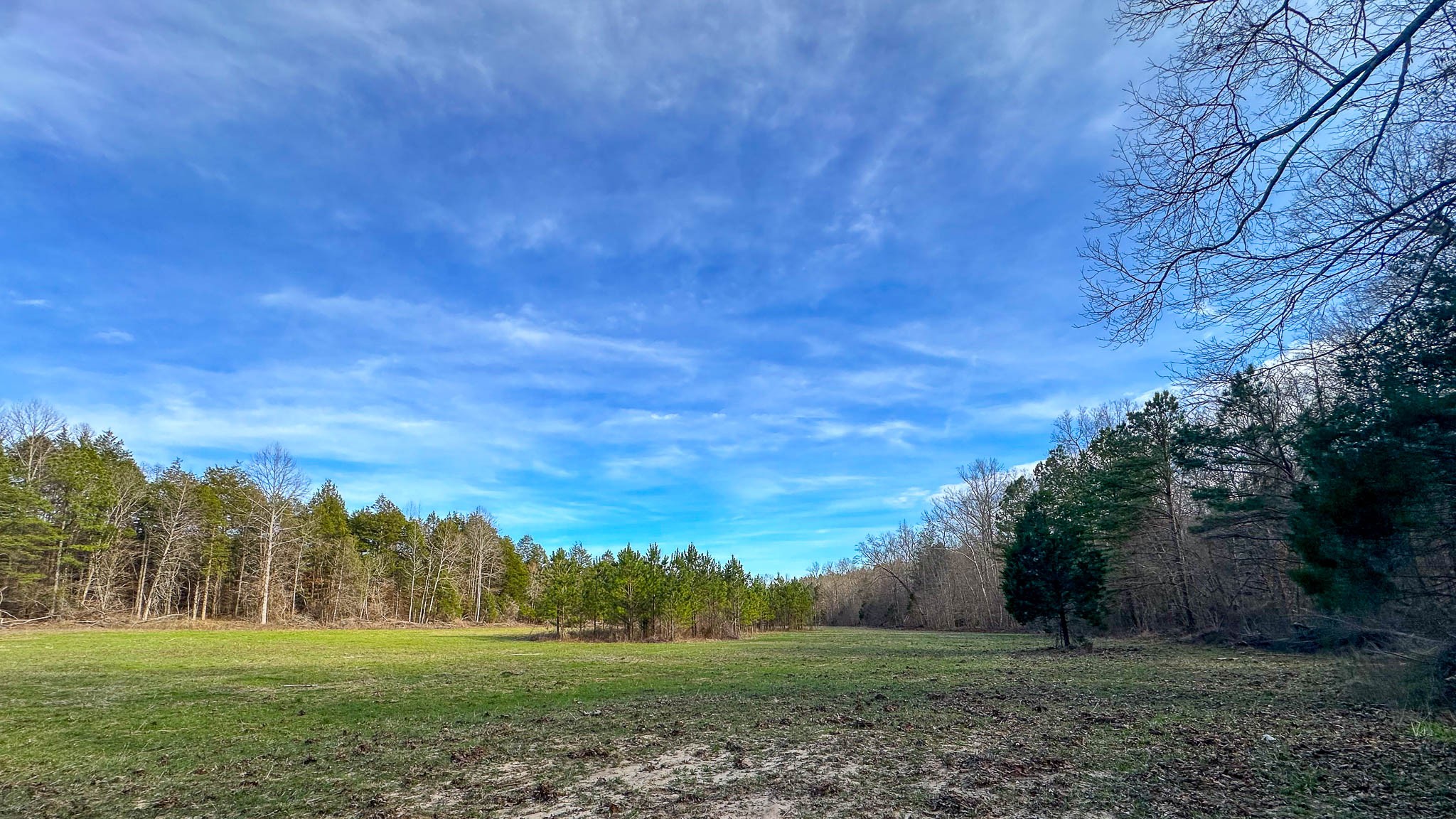 0 Jeanette Holladay Road Parsons, TN 38363 - Photo 23 of 49 a view of grassy field with trees