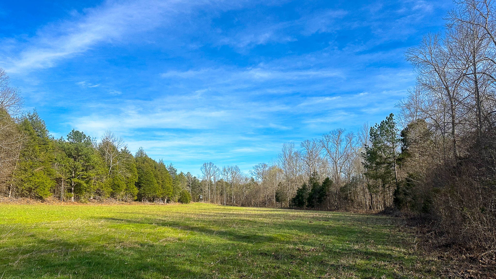 0 Jeanette Holladay Road Parsons, TN 38363 - Photo 25 of 49 a view of grassy field with trees