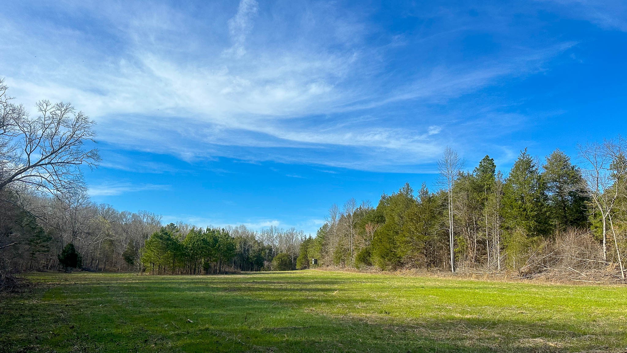 0 Jeanette Holladay Road Parsons, TN 38363 - Photo 26 of 49 a view of a golf course
