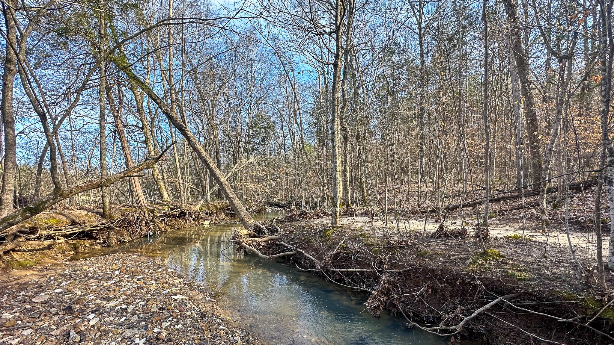 0 Jeanette Holladay Road Parsons, TN 38363 - Photo 27 of 49 a backyard of a house with lots of green space