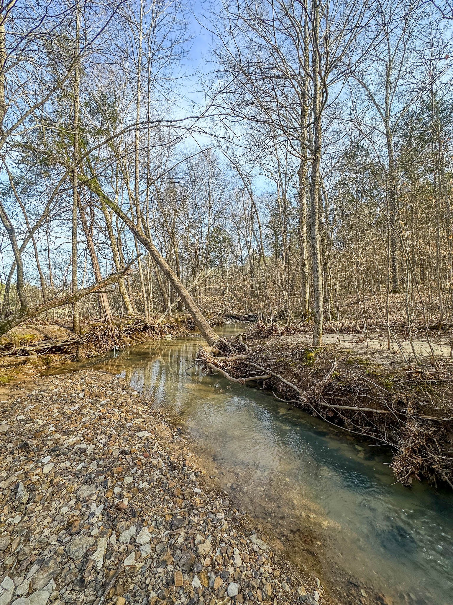 0 Jeanette Holladay Road Parsons, TN 38363 - Photo 28 of 49 a view of a lake with houses
