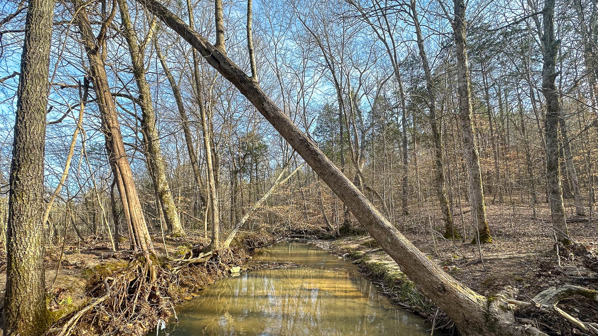 0 Jeanette Holladay Road Parsons, TN 38363 - Photo 29 of 49 a view of entryway with wooden floor