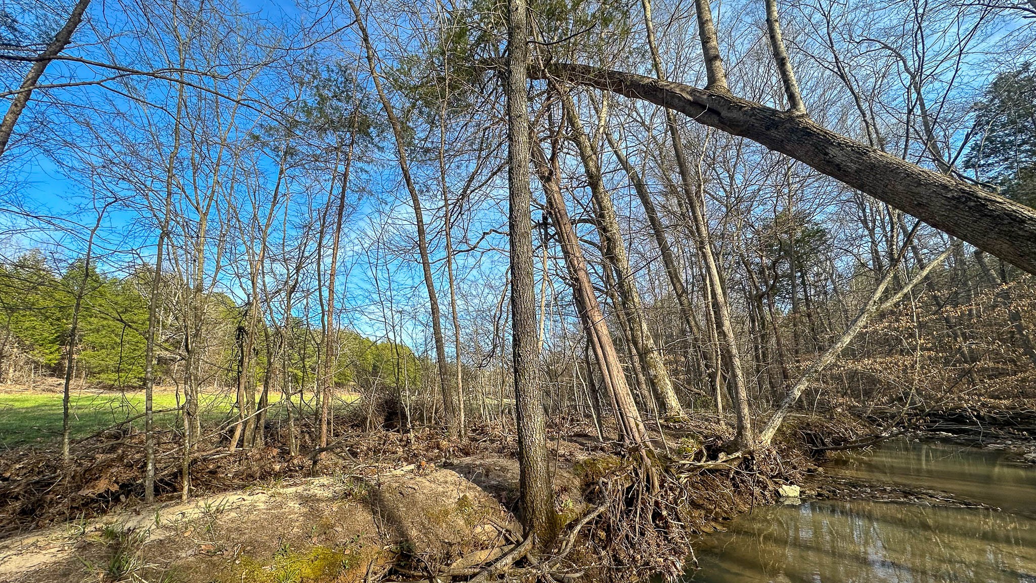 0 Jeanette Holladay Road Parsons, TN 38363 - Photo 30 of 49 a backyard of a house with lots of green space