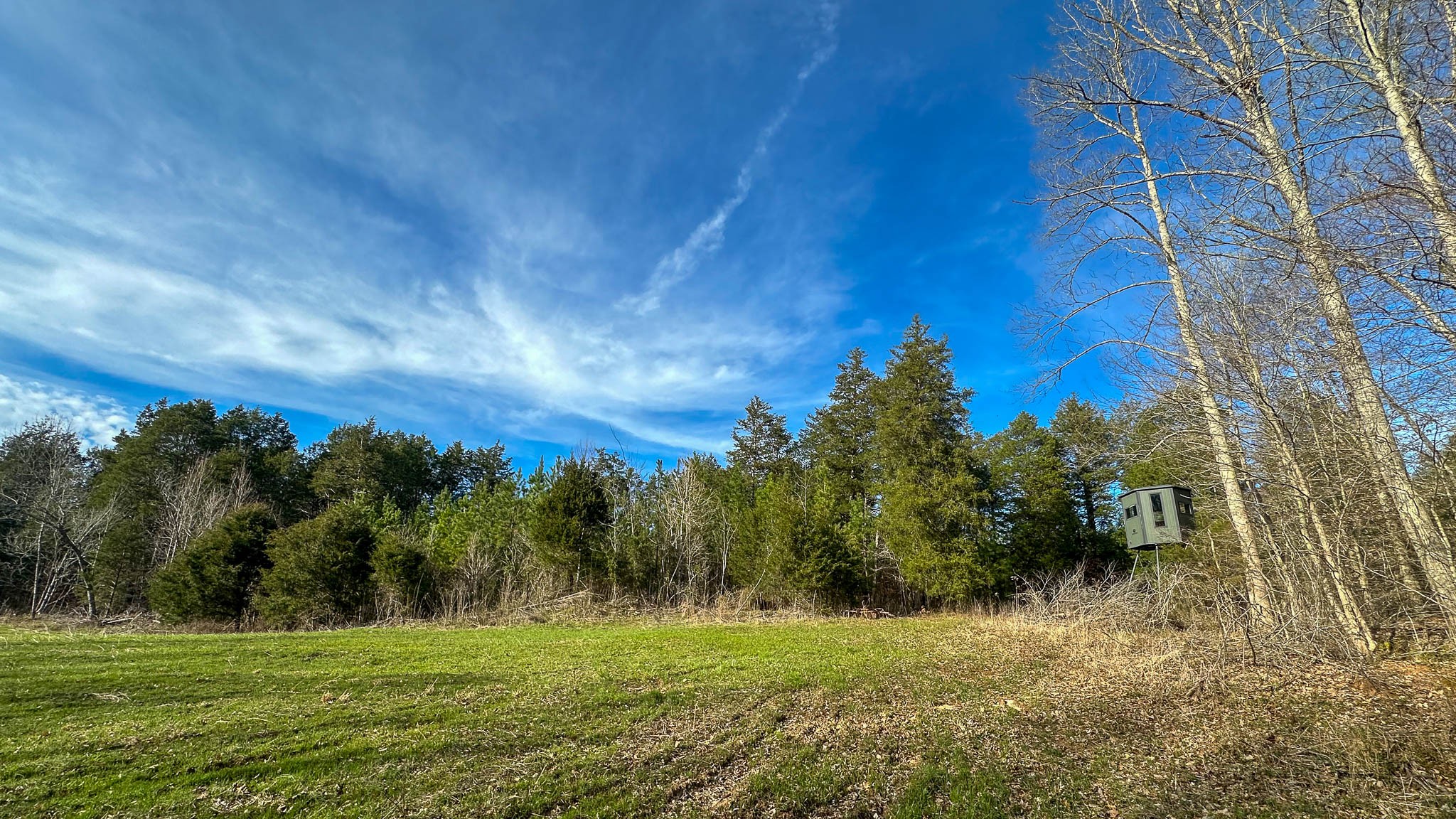 0 Jeanette Holladay Road Parsons, TN 38363 - Photo 31 of 49 a view of a grassy area with an trees