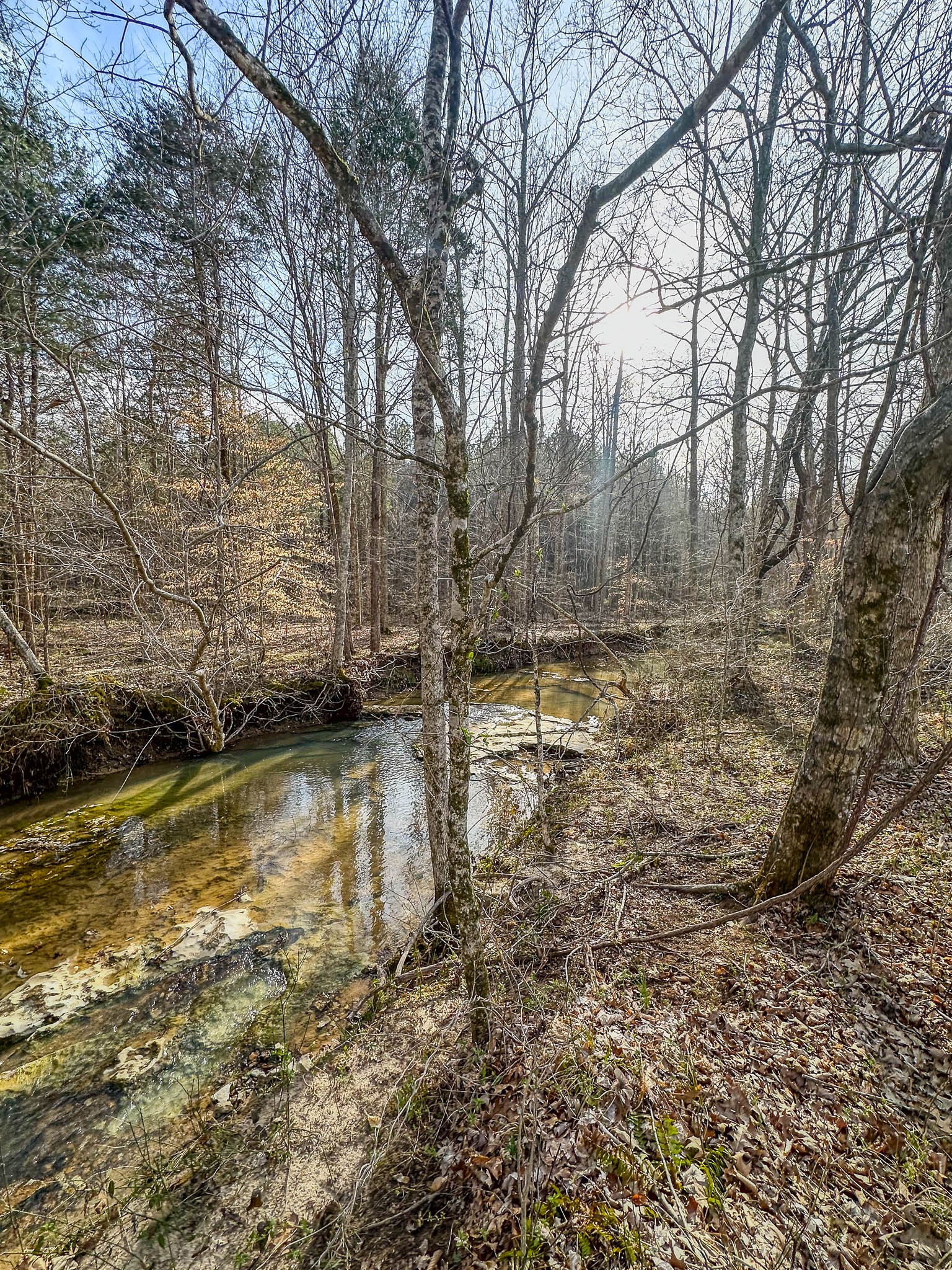 0 Jeanette Holladay Road Parsons, TN 38363 - Photo 32 of 49 a view of a backyard with swimming pool