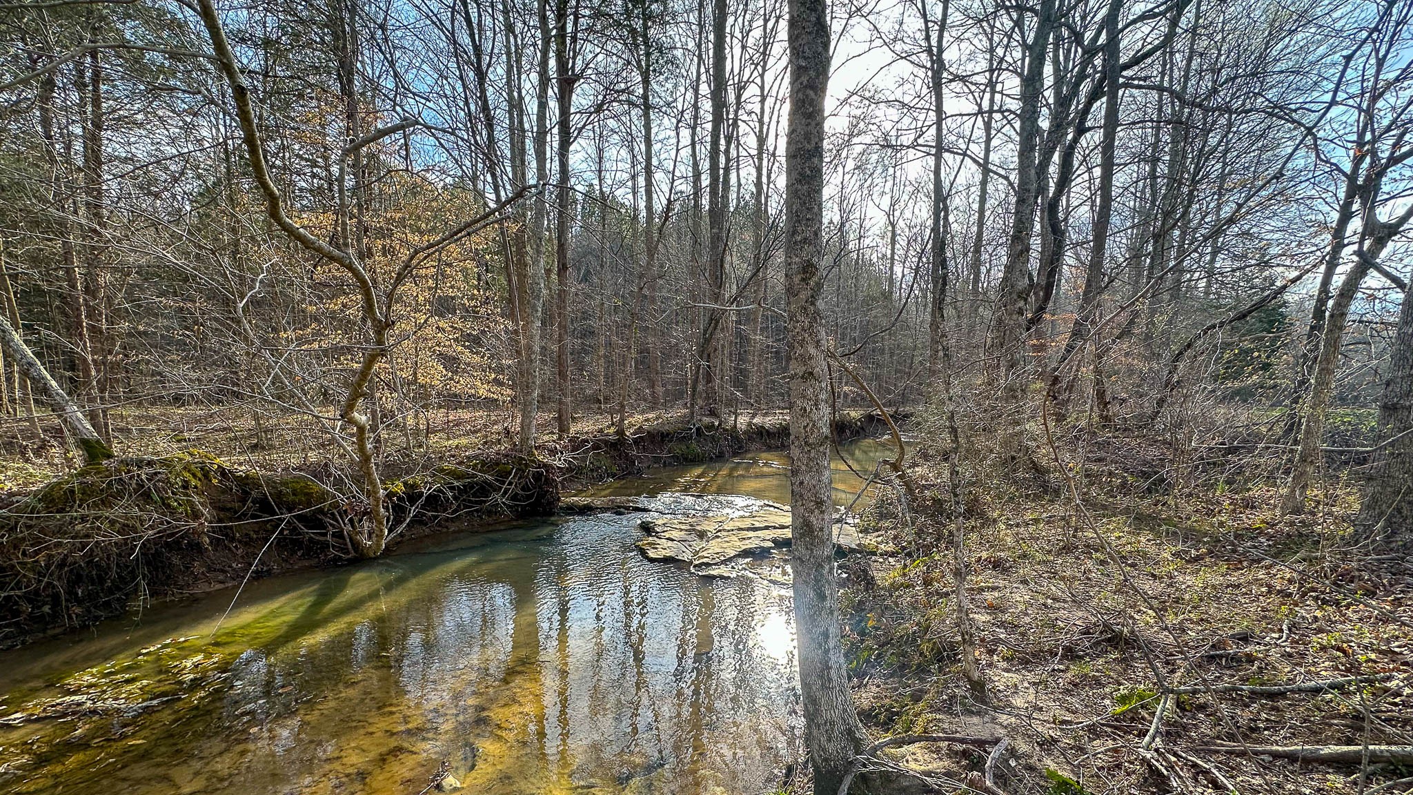0 Jeanette Holladay Road Parsons, TN 38363 - Photo 33 of 49 a view of a lake with trees