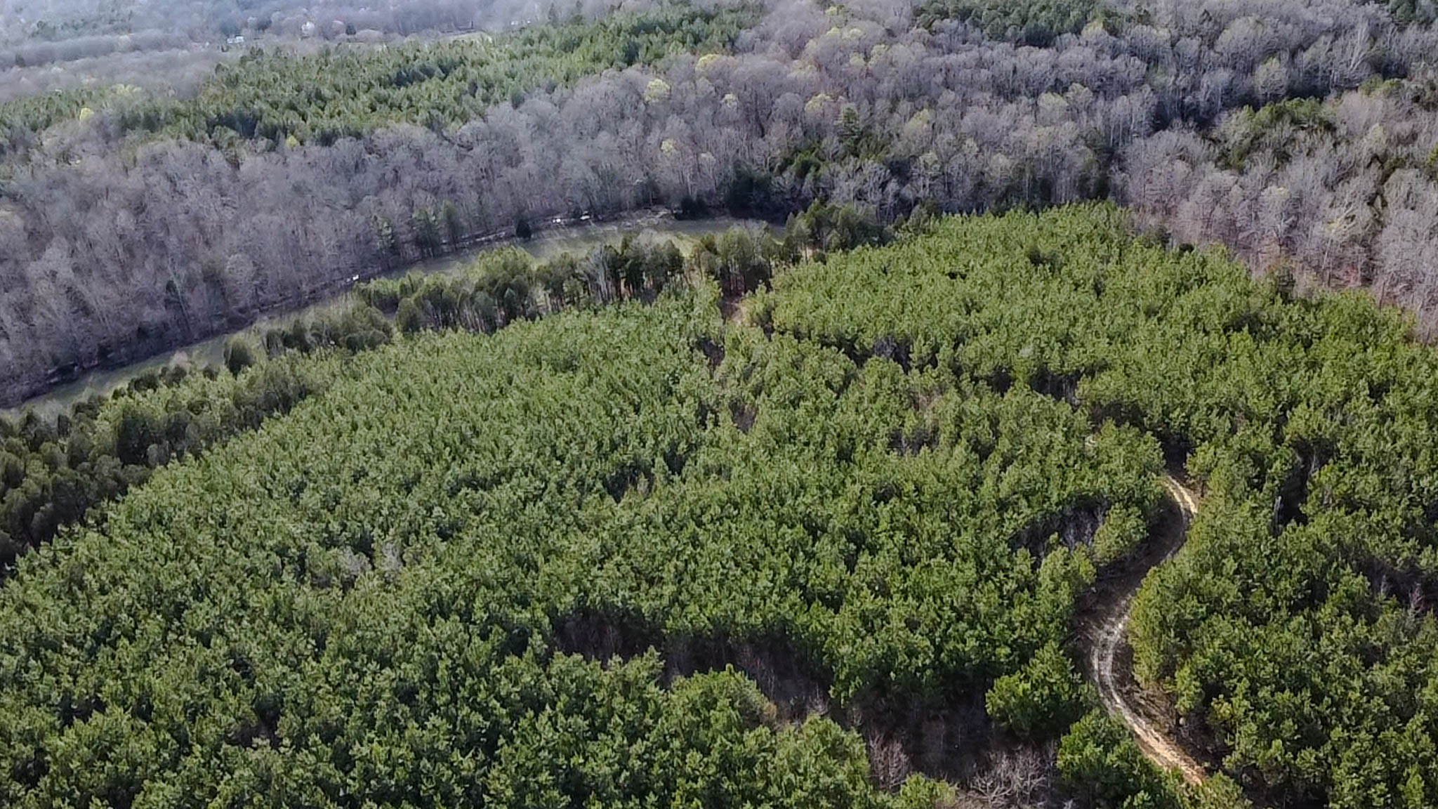 0 Jeanette Holladay Road Parsons, TN 38363 - Photo 37 of 49 a view of a lush green forest