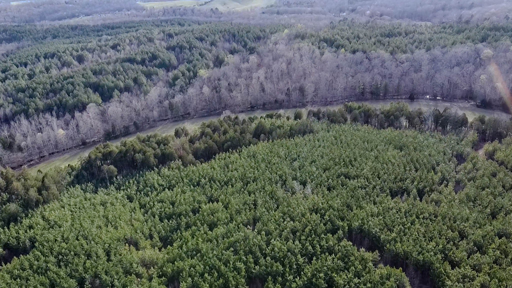 0 Jeanette Holladay Road Parsons, TN 38363 - Photo 38 of 49 a view of a lush green forest