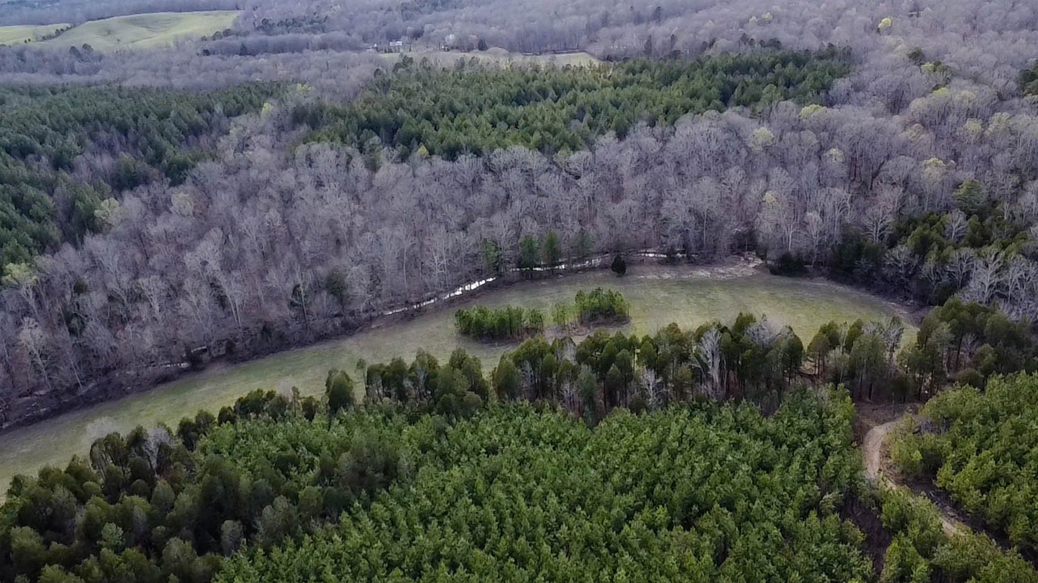 0 Jeanette Holladay Road Parsons, TN 38363 - Photo 39 of 49 a view of a lush green forest with a lake
