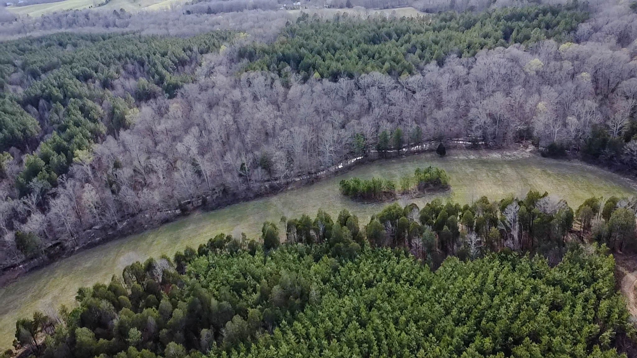 0 Jeanette Holladay Road Parsons, TN 38363 - Photo 40 of 49 a view of a backyard of a house