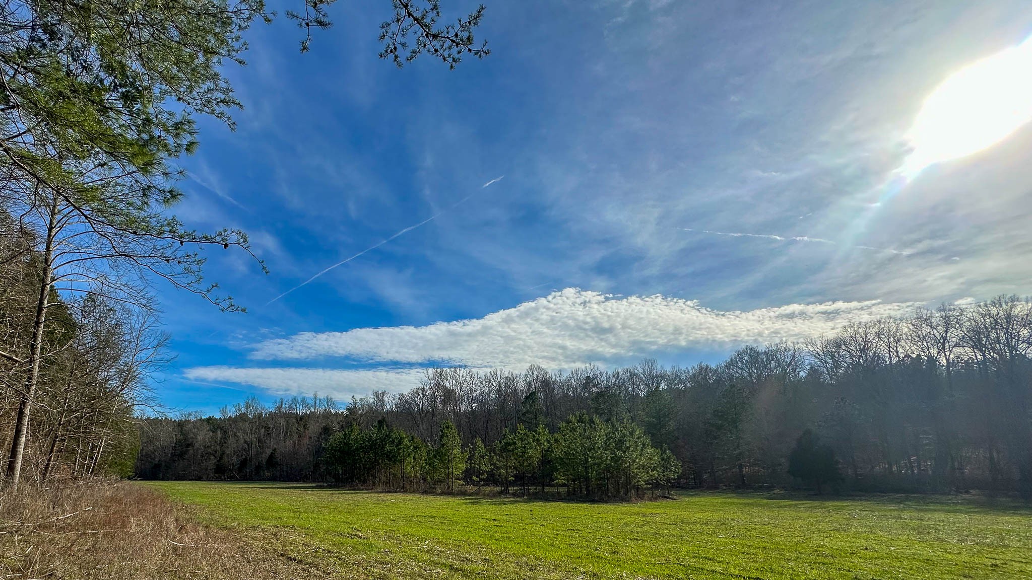 0 Jeanette Holladay Road Parsons, TN 38363 - Photo 4 of 49 a view of a yard