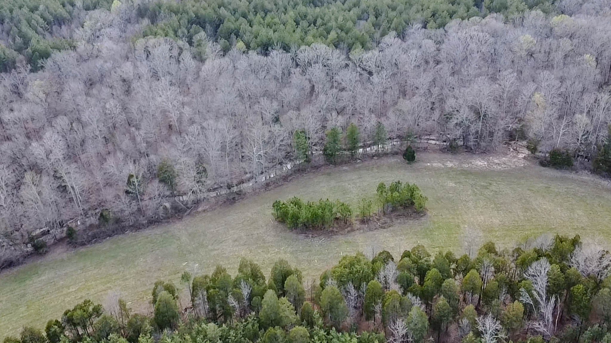 0 Jeanette Holladay Road Parsons, TN 38363 - Photo 41 of 49 a view of a pathway with a yard