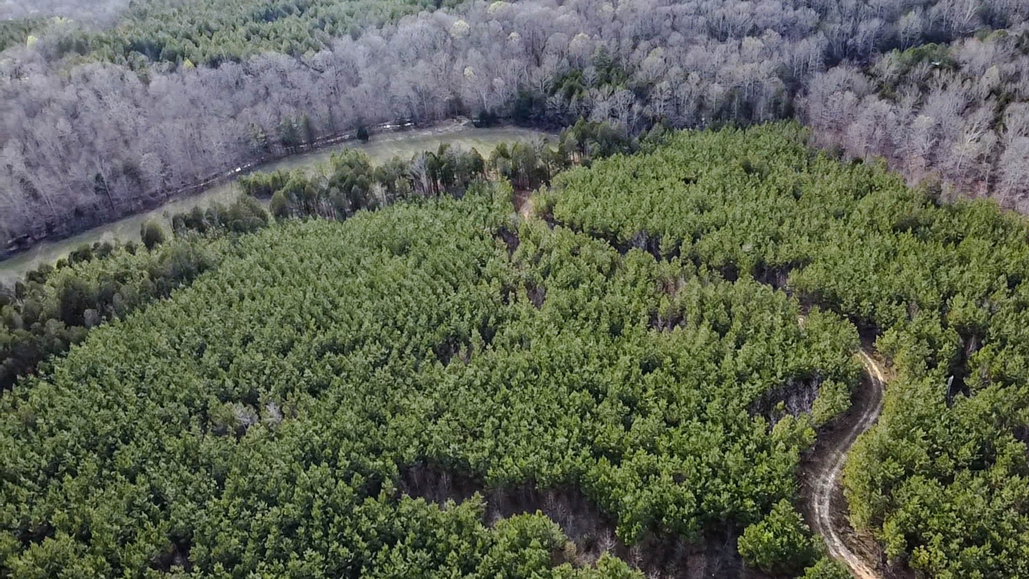 0 Jeanette Holladay Road Parsons, TN 38363 - Photo 42 of 49 a view of a lush green forest