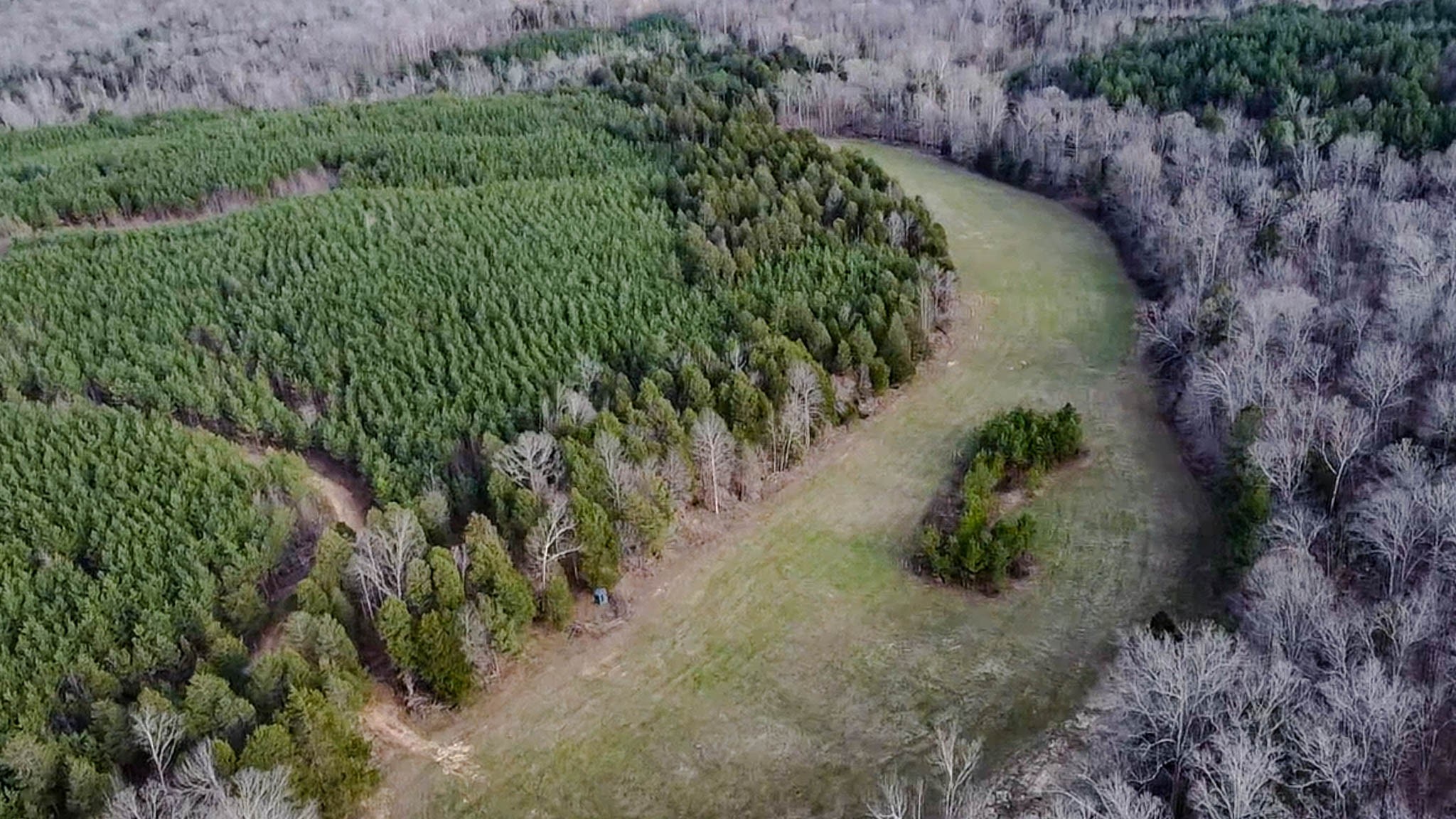 0 Jeanette Holladay Road Parsons, TN 38363 - Photo 44 of 49 a view of a garden with a tree