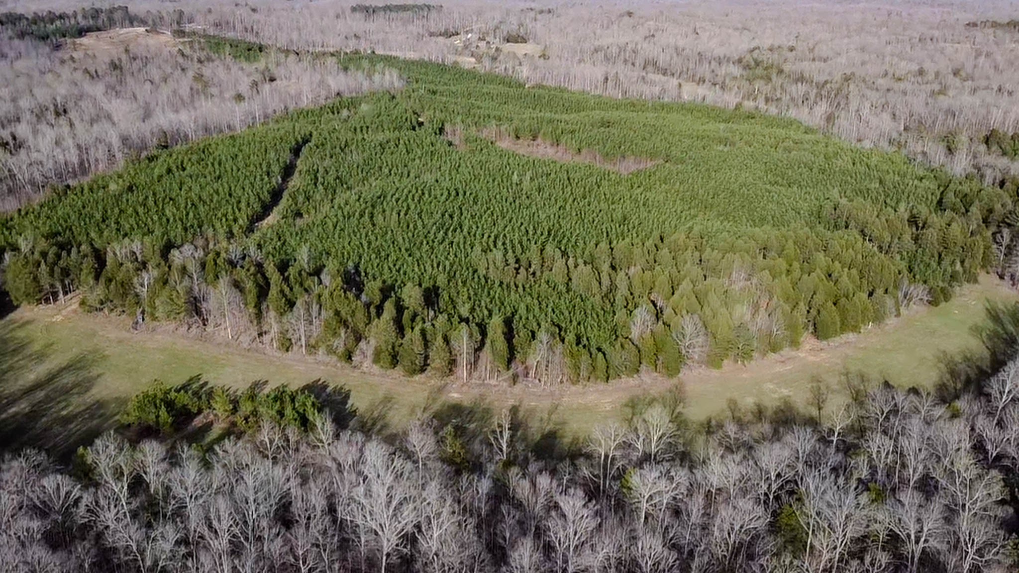 0 Jeanette Holladay Road Parsons, TN 38363 - Photo 46 of 49 a view of a lush green field