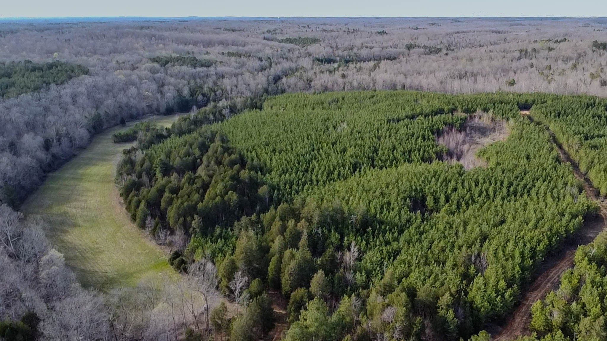 0 Jeanette Holladay Road Parsons, TN 38363 - Photo 47 of 49 a view of a lush green field