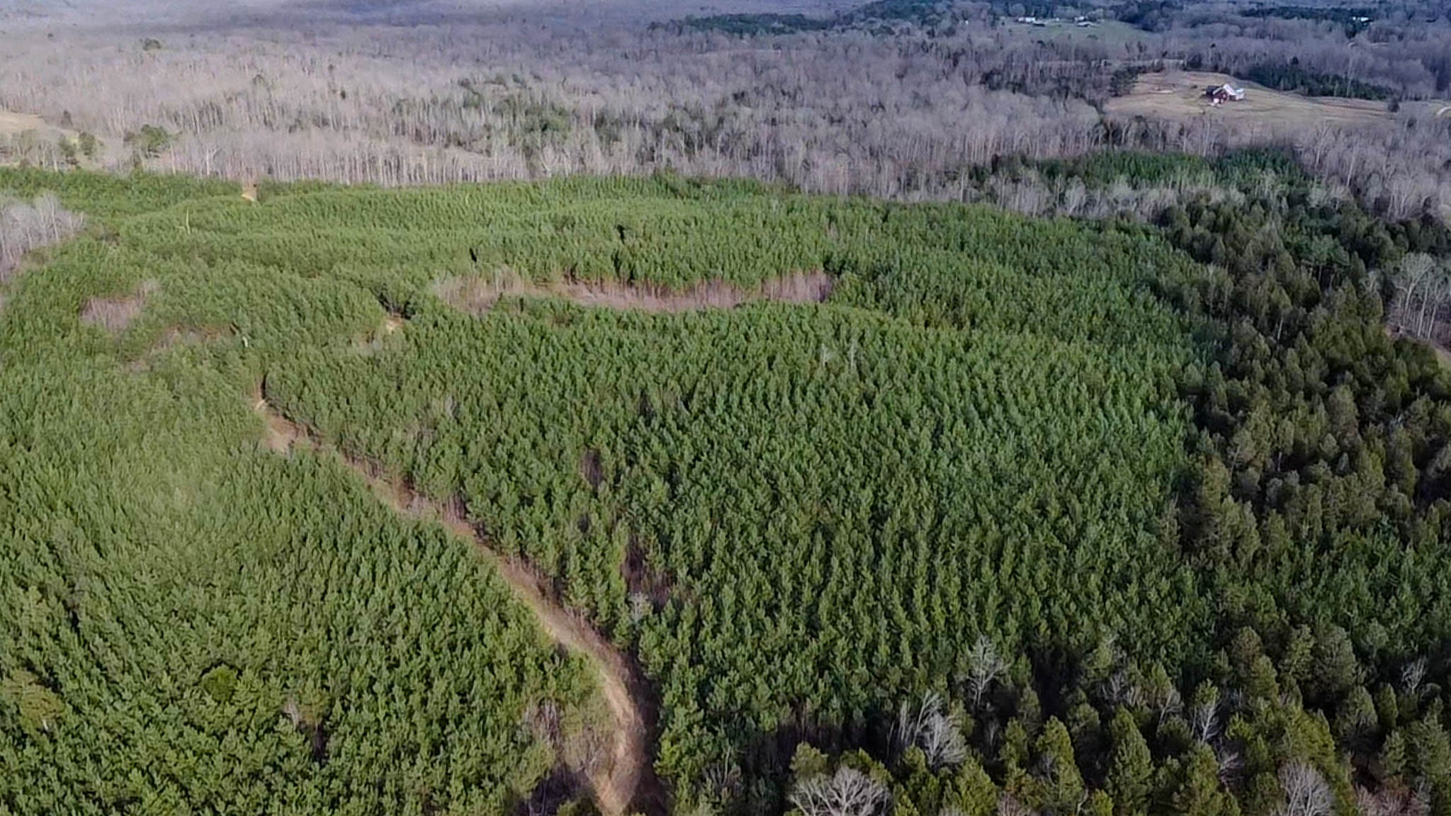0 Jeanette Holladay Road Parsons, TN 38363 - Photo 48 of 49 a view of a lush green space