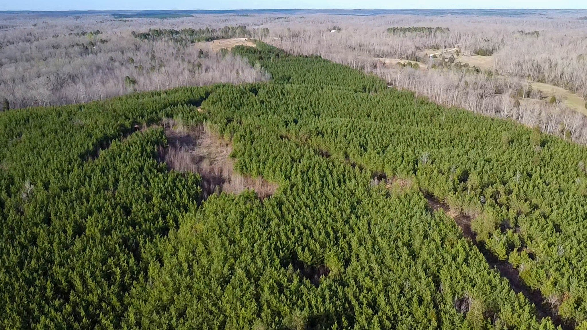 0 Jeanette Holladay Road Parsons, TN 38363 - Photo 49 of 49 an aerial view of residential house with outdoor space