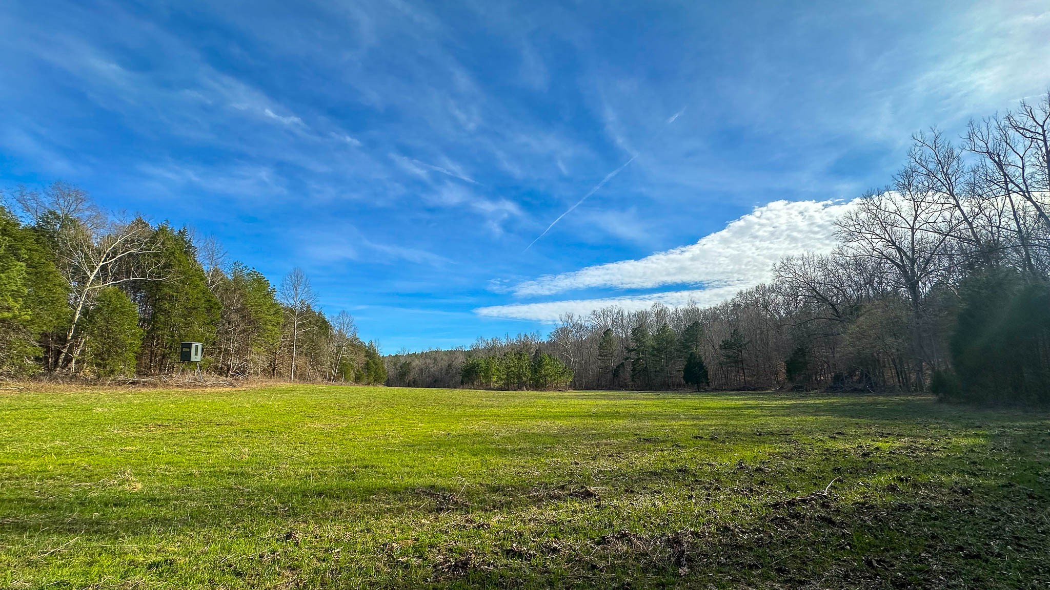 0 Jeanette Holladay Road Parsons, TN 38363 - Photo 5 of 49 a view of grassy field with trees