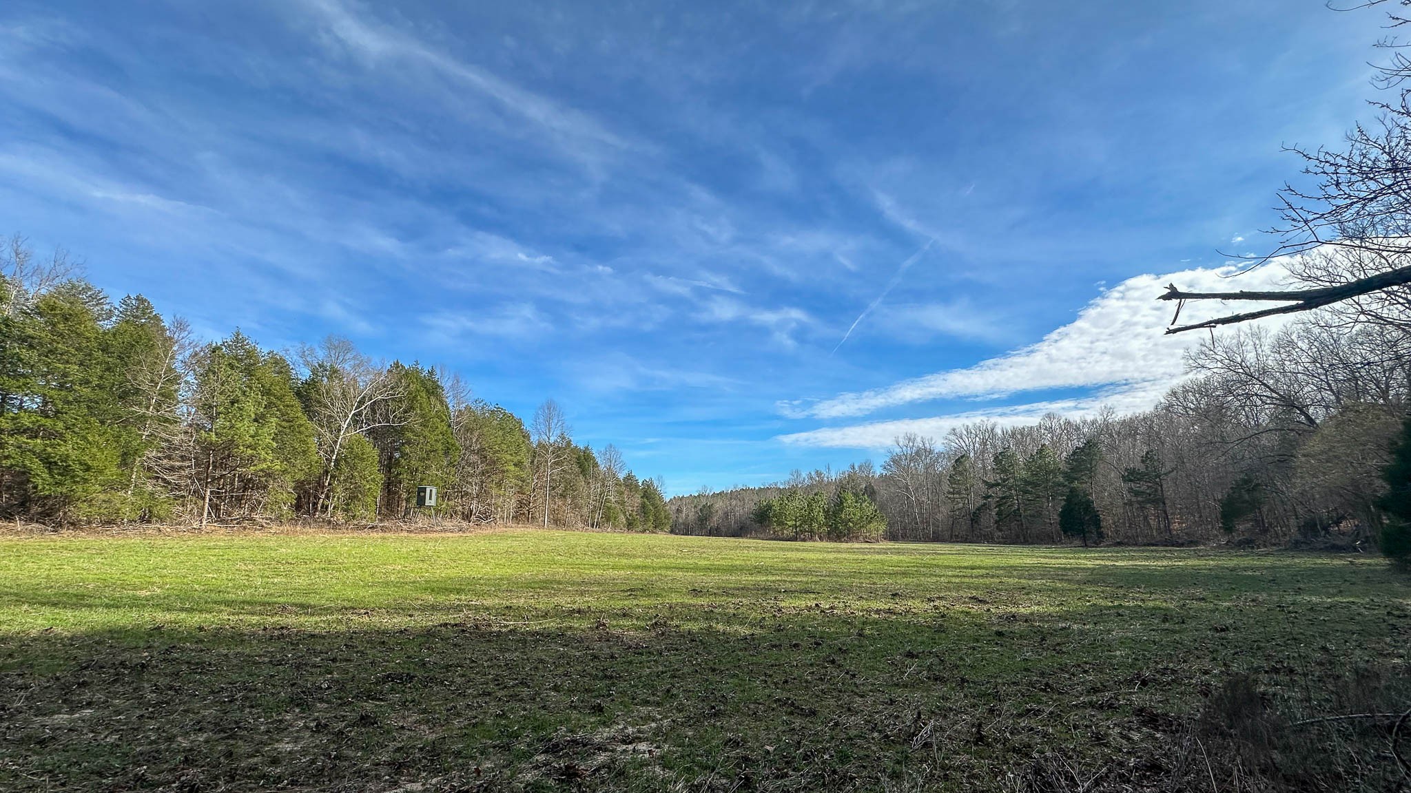 0 Jeanette Holladay Road Parsons, TN 38363 - Photo 6 of 49 a view of grassy field with trees