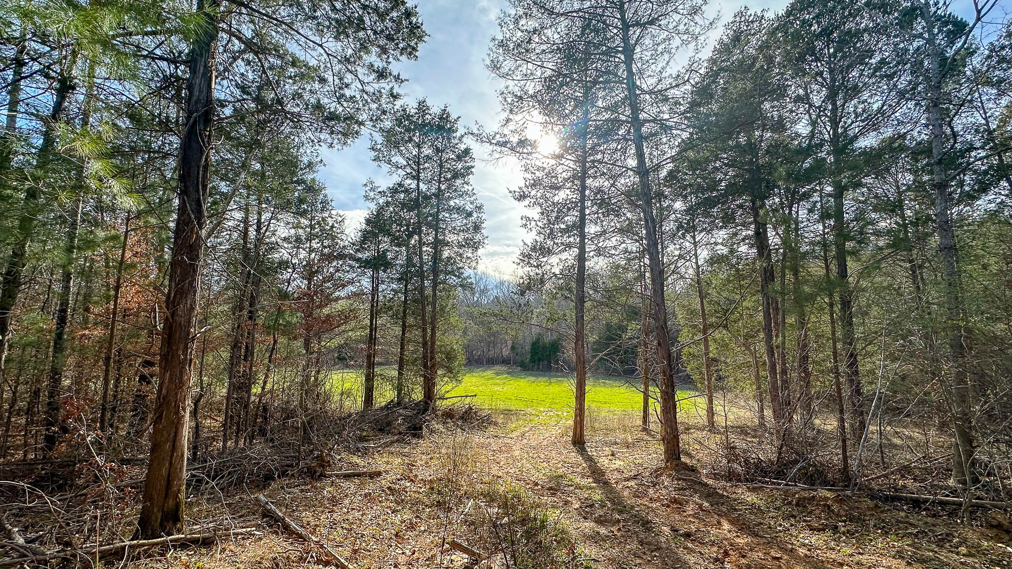 0 Jeanette Holladay Road Parsons, TN 38363 - Photo 7 of 49 a view of a park with large trees