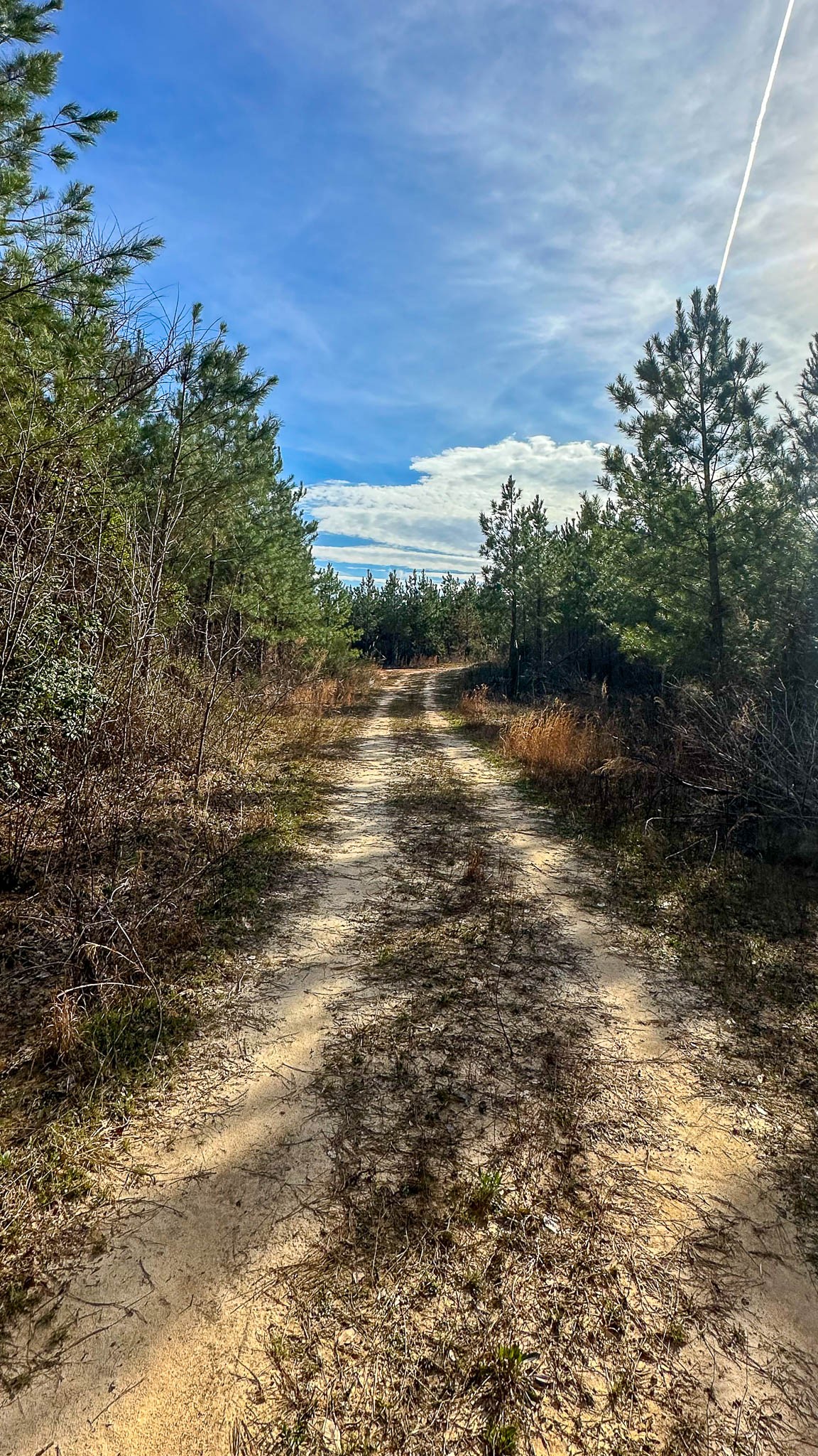0 Jeanette Holladay Road Parsons, TN 38363 - Photo 9 of 49 a view of a lake view