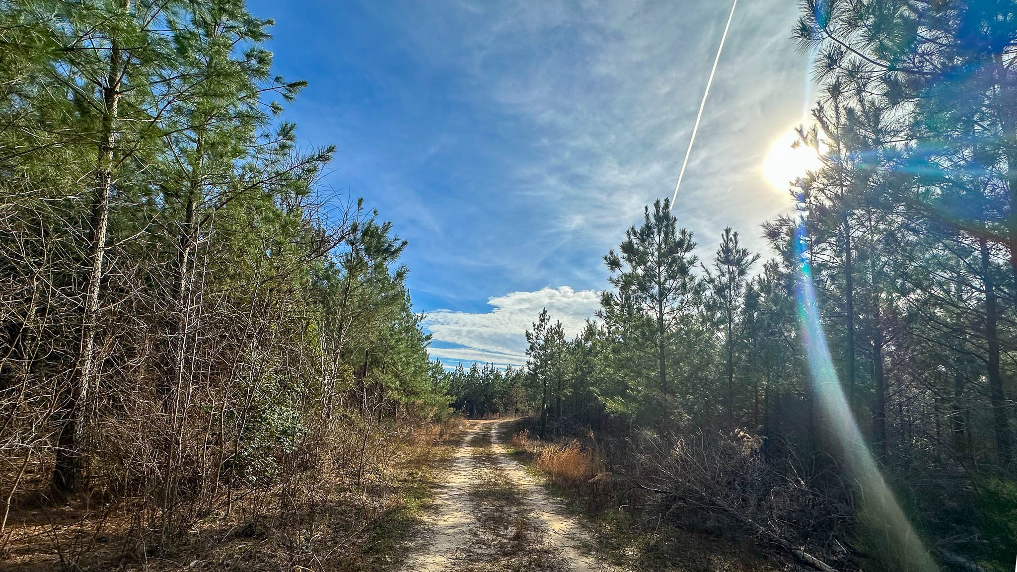 0 Jeanette Holladay Road Parsons, TN 38363 - Photo 10 of 49 a view of a yard