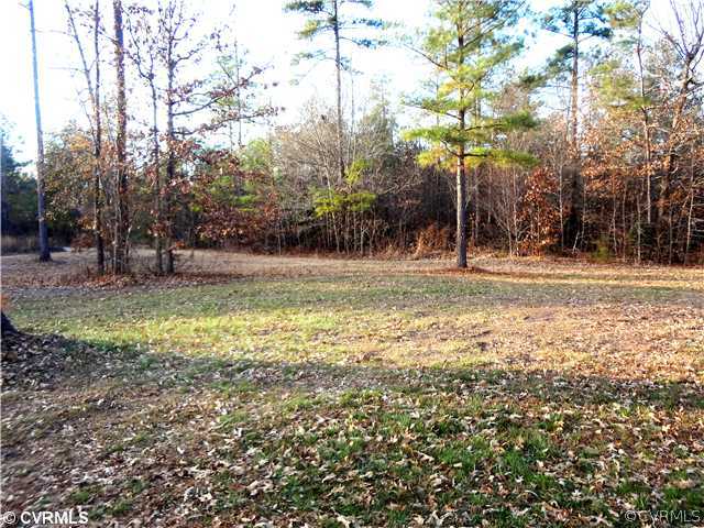 20310 Halligan Park Road Carson, VA 23830 - Photo 23 of 24 a view of a yard with a tree