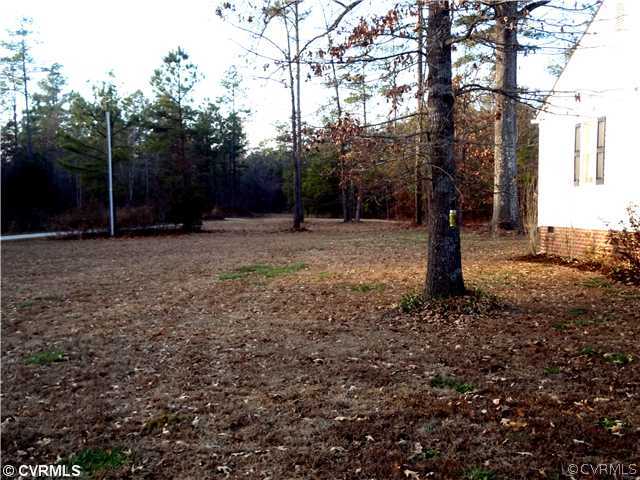 20310 Halligan Park Road Carson, VA 23830 - Photo 24 of 24 a tree in the middle of a yard