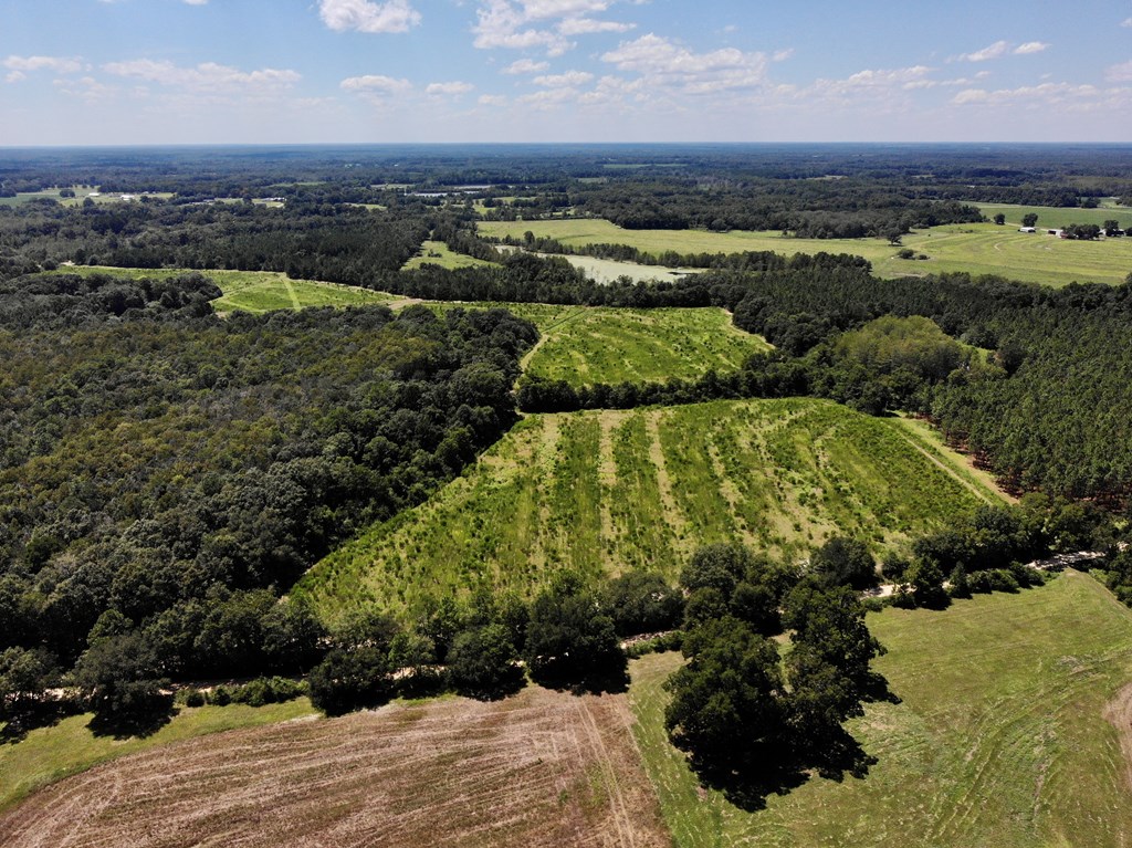 149 East County Road Slocomb, AL 36375 - Photo 8 of 40