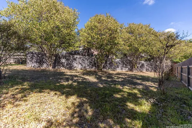 a view of a tree with a yard