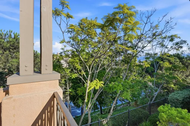 a view of a yard with plants