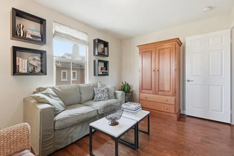 a living room with furniture and a potted plant