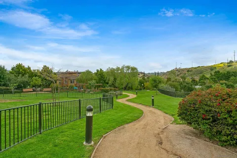a view of a park with large trees