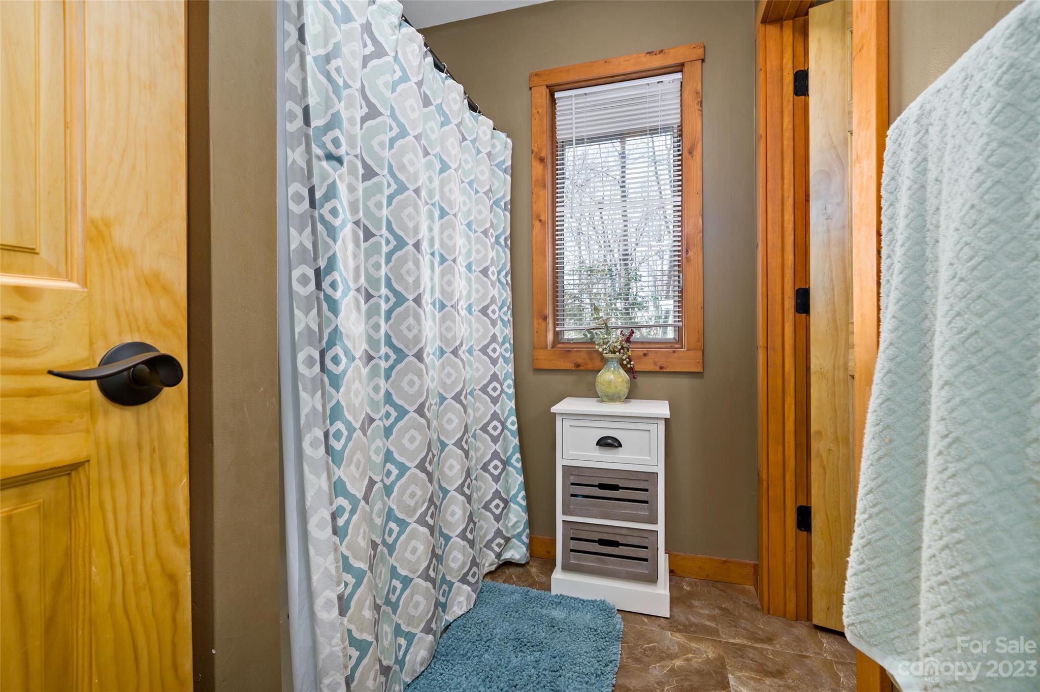 139 Panther Gap Road Brevard, NC 28712 - Photo 13 of 42 a view of walk in closet with window