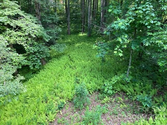 139 Panther Gap Road Brevard, NC 28712 - Photo 41 of 42 a view of a lush green forest