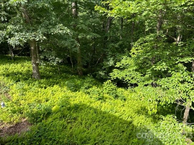 139 Panther Gap Road Brevard, NC 28712 - Photo 42 of 42 a view of a garden