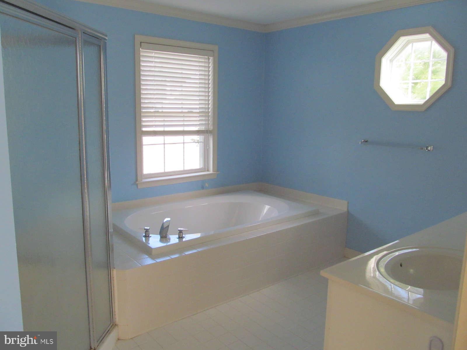 2551 Bear Den Road Frederick, MD 21701 - Photo 17 of 20 Bath (Master)