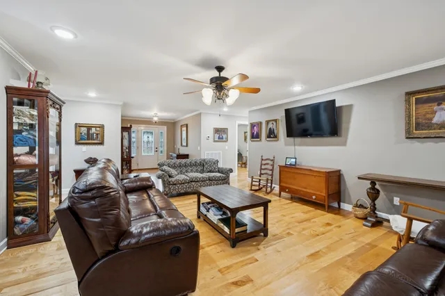 a living room with a couch and a potted plant
