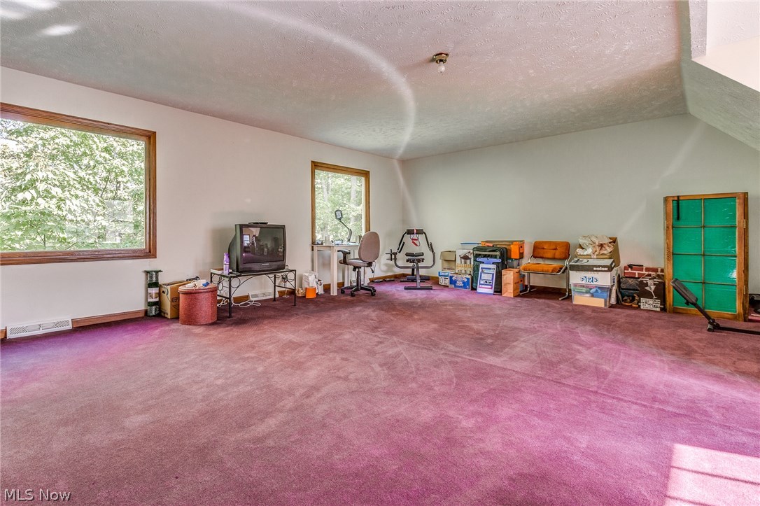 11005 Prouty Road Painesville, OH 44077 - Photo 21 of 30 Gallery Image 21