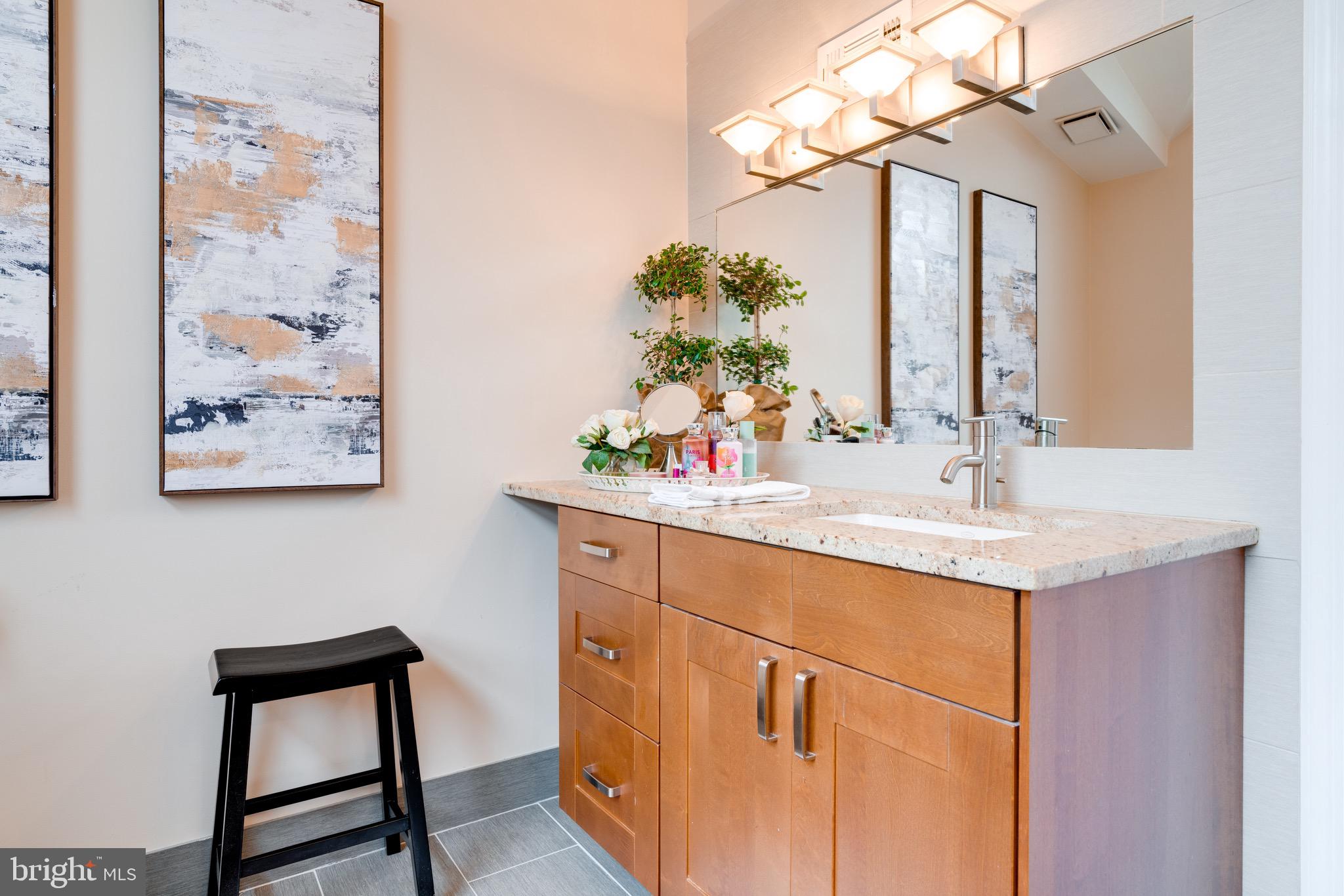 3028 South Glebe Road, Unit 3028 Arlington, VA 22206 - Photo 32 of 43 master bath