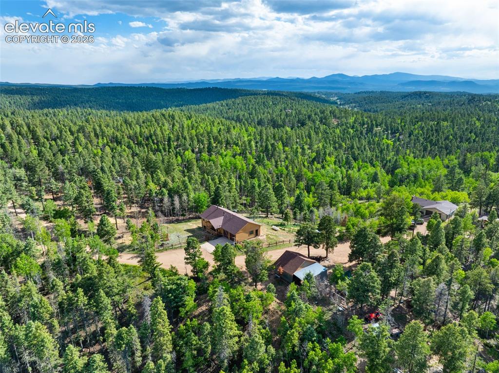 4269 Cedar Mountain Road Divide, CO 80814 - Photo 32 of 39 View of Great Continental Divide