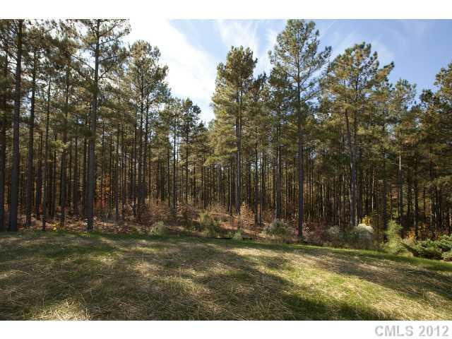 86593 Arrington Road, Unit 102 Lancaster, SC 29720 - Photo 15 of 15 a view of outdoor space with trees