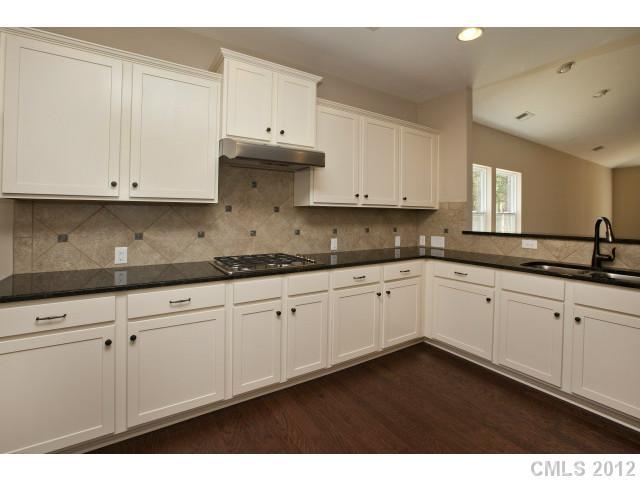 86593 Arrington Road, Unit 102 Lancaster, SC 29720 - Photo 9 of 15 a kitchen with granite countertop white cabinets and sink